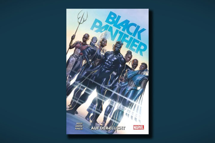 Black Panther Auf der Flucht Cover Panini Paperback